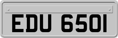 EDU6501