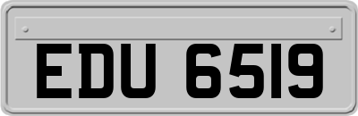 EDU6519