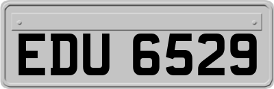 EDU6529