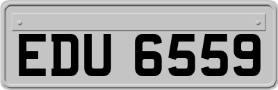 EDU6559