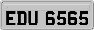 EDU6565