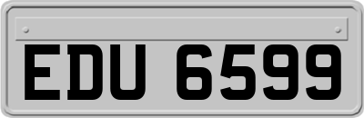 EDU6599