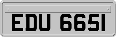 EDU6651