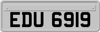 EDU6919