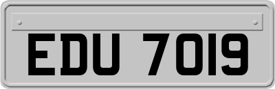 EDU7019