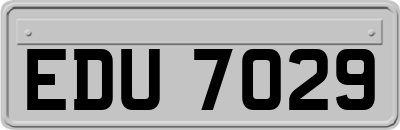 EDU7029