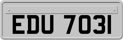 EDU7031