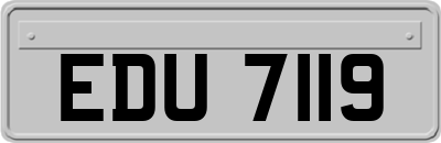 EDU7119