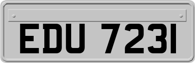 EDU7231