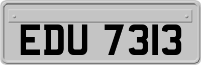 EDU7313