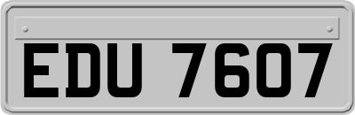 EDU7607