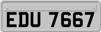 EDU7667