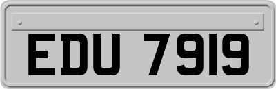 EDU7919