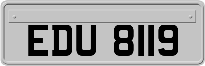 EDU8119