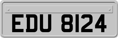 EDU8124