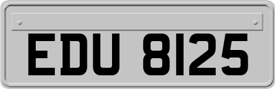 EDU8125