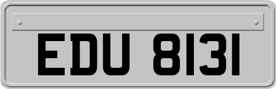 EDU8131