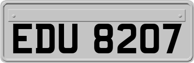 EDU8207