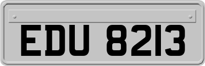 EDU8213