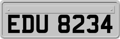 EDU8234