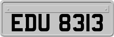 EDU8313