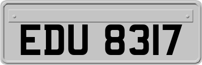 EDU8317