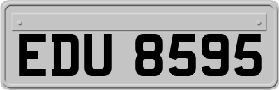 EDU8595
