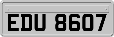 EDU8607