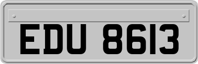 EDU8613