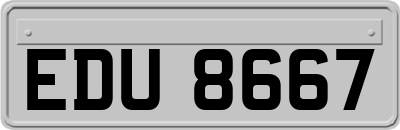 EDU8667