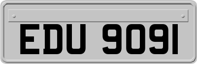 EDU9091