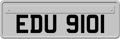 EDU9101