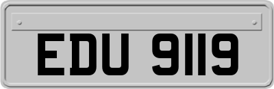 EDU9119