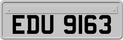 EDU9163