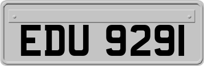 EDU9291
