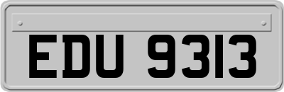 EDU9313