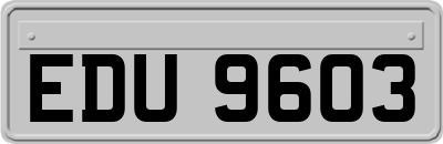 EDU9603