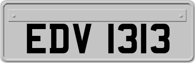EDV1313