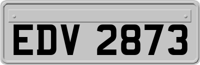 EDV2873