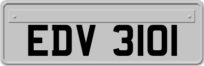EDV3101