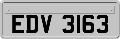 EDV3163