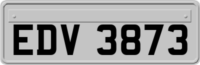 EDV3873