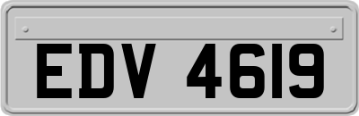 EDV4619