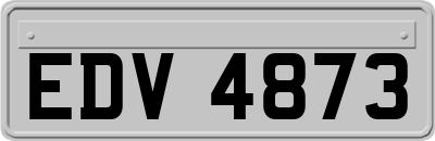 EDV4873