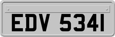 EDV5341