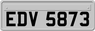 EDV5873