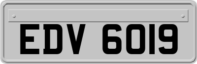 EDV6019