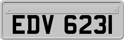 EDV6231