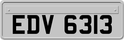 EDV6313