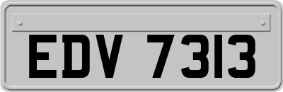 EDV7313